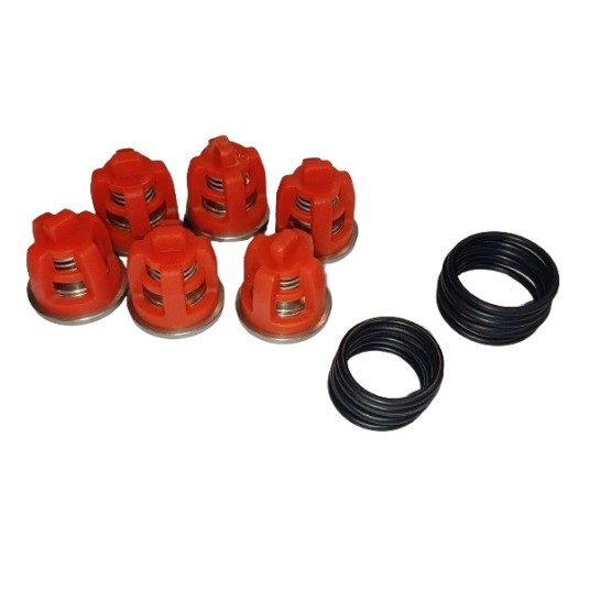 ZESTAW NAPRAWCZY ZAWORÓW DO Q1000 - 1500 THERM 890 - 1165