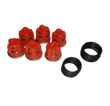 ZESTAW NAPRAWCZY ZAWORÓW DO Q1000 - 1500 THERM 890 - 1165